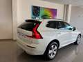 Volvo XC60 Core 2.0 B4 D Auto Blanco - thumbnail 3