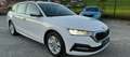 Skoda Octavia 2,0 TDI Business DSG AB 299 EUR/MONAT Weiß - thumbnail 7