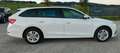 Skoda Octavia 2,0 TDI Business DSG AB 299 EUR/MONAT Weiß - thumbnail 6