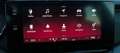 Skoda Octavia 2,0 TDI Business DSG AB 299 EUR/MONAT Weiß - thumbnail 19