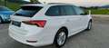 Skoda Octavia 2,0 TDI Business DSG AB 299 EUR/MONAT Weiß - thumbnail 5