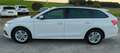 Skoda Octavia 2,0 TDI Business DSG AB 299 EUR/MONAT Weiß - thumbnail 2