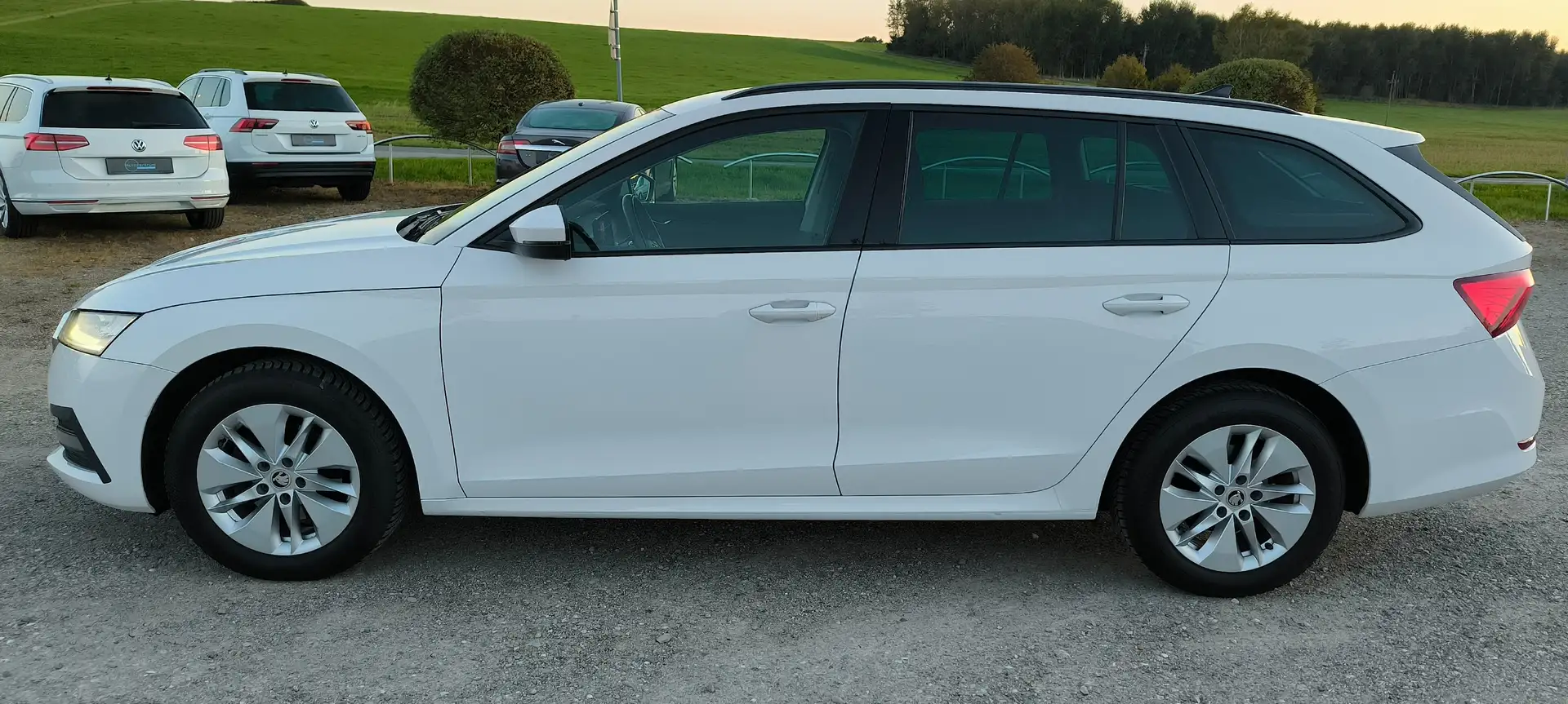 Skoda Octavia 2,0 TDI Business DSG AB 299 EUR/MONAT Weiß - 2