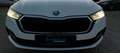 Skoda Octavia 2,0 TDI Business DSG AB 299 EUR/MONAT Weiß - thumbnail 9