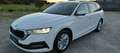 Skoda Octavia 2,0 TDI Business DSG AB 299 EUR/MONAT Weiß - thumbnail 1