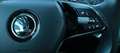 Skoda Octavia 2,0 TDI Business DSG AB 299 EUR/MONAT Weiß - thumbnail 24