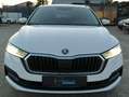 Skoda Octavia 2,0 TDI Business DSG AB 299 EUR/MONAT Weiß - thumbnail 8