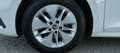 Skoda Octavia 2,0 TDI Business DSG AB 299 EUR/MONAT Weiß - thumbnail 11