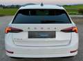 Skoda Octavia 2,0 TDI Business DSG AB 299 EUR/MONAT Weiß - thumbnail 4