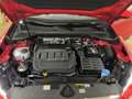 Audi Q2 advanced 35 TDI 110(150)  S tronic Rouge - thumbnail 13