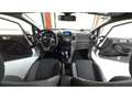 Ford Fiesta 1.0 EcoBoost ST-Line Blanco - thumbnail 12