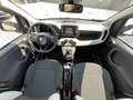 Fiat Panda 1.0 FireFly S&S Hybrid Pandina #5posti Bianco - thumbnail 7