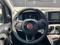Fiat Panda 1.0 FireFly S&S Hybrid Pandina #5posti Bianco - thumbnail 8
