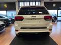 Jeep Grand Cherokee 6.4 V8 HEMI SRT 8Rapporti IVA 22% FULL FULL Weiß - thumbnail 8
