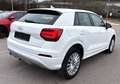 Audi Q2 1.6 TDI  design, Weiß - thumbnail 3