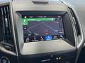 Ford Galaxy Edition*7-Sitzer*Navi*AHK*SHZ*PDC*Tempoma Blau - thumbnail 22