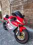 MV Agusta F4 1000 1000 R 1+1 Rouge - thumbnail 2