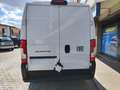 Fiat Ducato 33Q MH2 Bianco - thumbnail 3