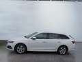 Skoda Octavia Combi Style 2.0 TDI DSG ACC HUD 4xSHZ AHK Weiß - thumbnail 3