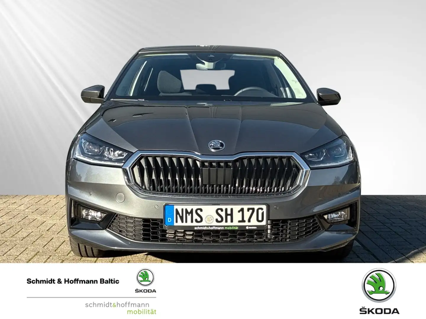 Skoda Fabia 1.0 TSI Tour Klima Rückfahrkamera Sitzheizung Grijs - 2