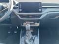 Skoda Fabia 1.0 TSI Tour Klima Rückfahrkamera Sitzheizung Grijs - thumbnail 12