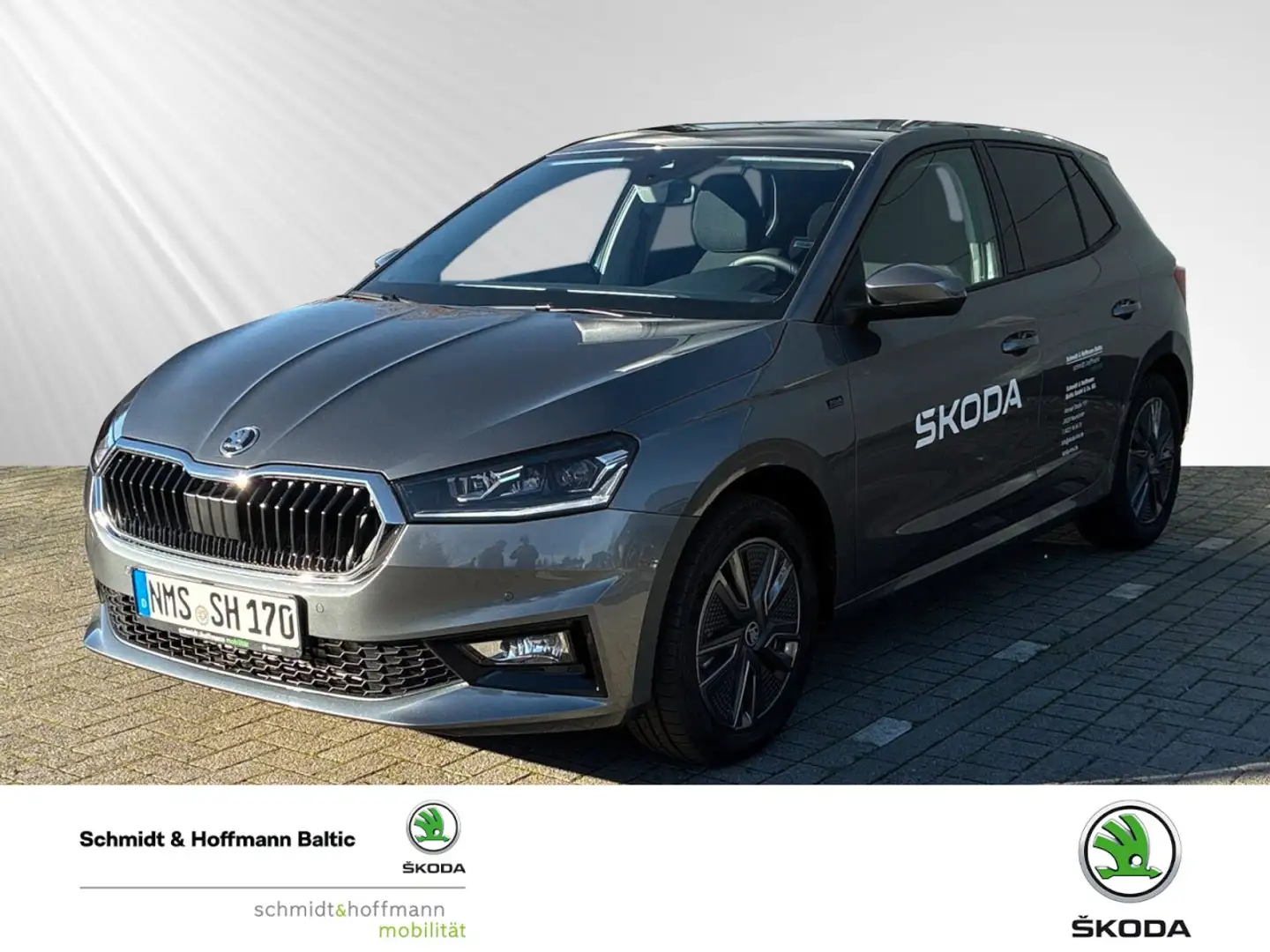 Skoda Fabia 1.0 TSI Tour Klima Rückfahrkamera Sitzheizung Grau - 1