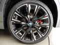 BMW X2 xDrive20i High Executive M-Sportpakket / Panorama Grijs - thumbnail 41