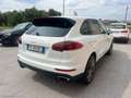 Porsche Cayenne 3.0 Diesel Platinum Edition CERCHI 21 LED Bianco - thumbnail 4