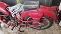 Moto Guzzi Airone 250 sport Rosso - thumbnail 5