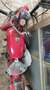 Moto Guzzi Airone 250 sport Rosso - thumbnail 3