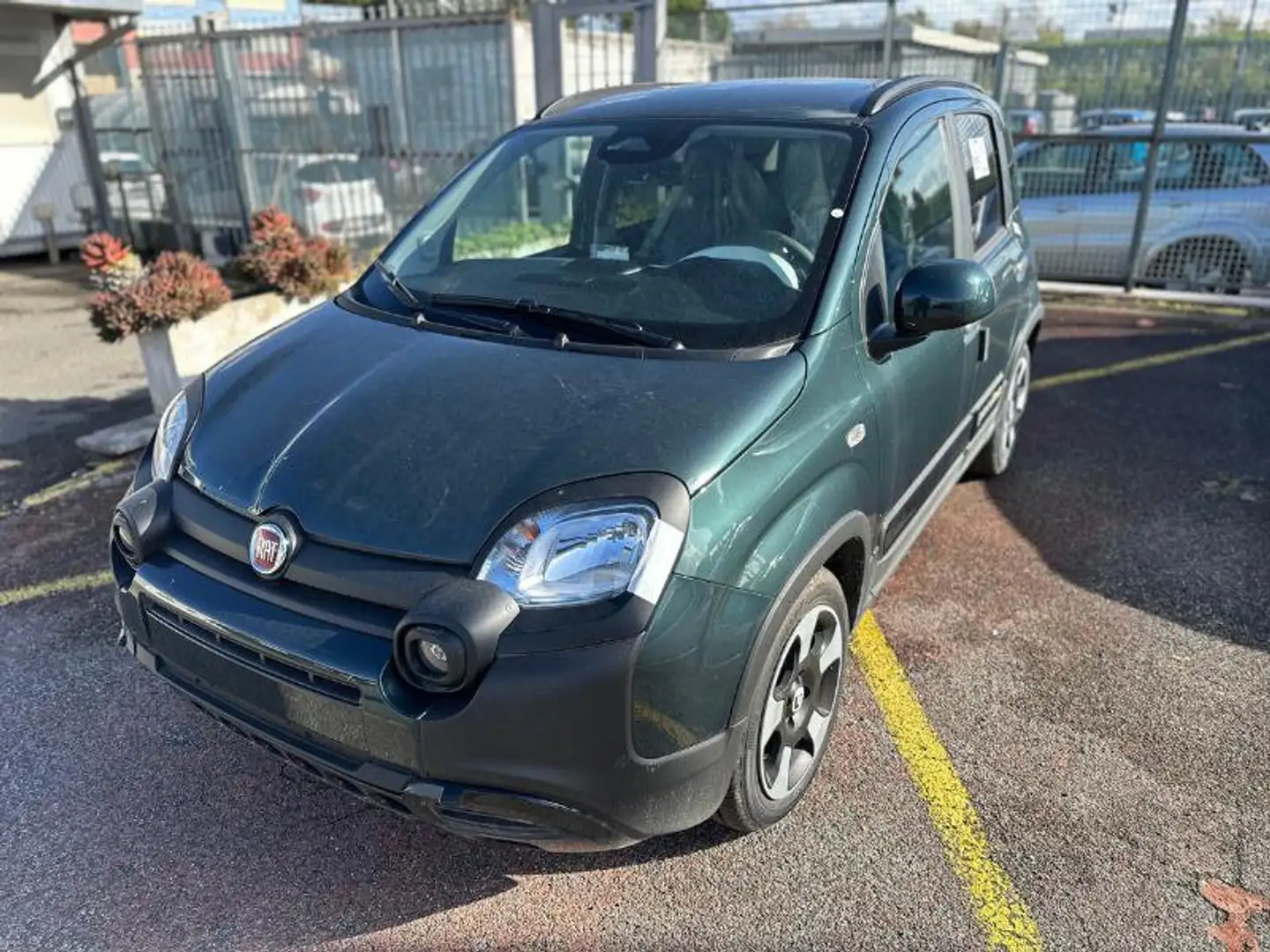 Fiat Panda 1.0 FireFly S&S Hybrid Verde - 1