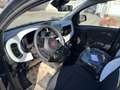 Fiat Panda 1.0 FireFly S&S Hybrid Verde - thumbnail 14