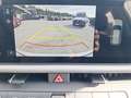 Kia Sonstige SELTOS/SILBER/1.6 TGDI/DCT7/2WD/180/P2 Weiß - thumbnail 20