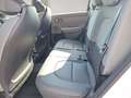 Kia Sonstige SELTOS/SILBER/1.6 TGDI/DCT7/2WD/180/P2 Weiß - thumbnail 12