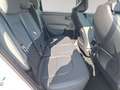 Kia Sonstige SELTOS/SILBER/1.6 TGDI/DCT7/2WD/180/P2 Weiß - thumbnail 17