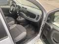 Fiat Panda Panda III 2012 1.2 Easy 69cv E6 Grigio - thumbnail 11