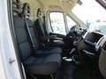 Fiat Ducato 2.3 M-JET 140CV PM-TM L2H2 ATTREZZATO SCAFFALATURA Bianco - thumbnail 15
