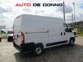 Fiat Ducato 2.3 M-JET 140CV PM-TM L2H2 ATTREZZATO SCAFFALATURA Bianco - thumbnail 3