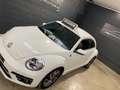 Volkswagen Beetle 1.2 TSI Sound 12 mois de garantie Bílá - thumbnail 4