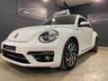 Volkswagen Beetle 1.2 TSI Sound 12 mois de garantie Alb - thumbnail 1