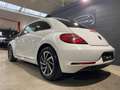 Volkswagen Beetle 1.2 TSI Sound 12 mois de garantie Weiß - thumbnail 5