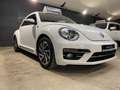 Volkswagen Beetle 1.2 TSI Sound 12 mois de garantie Білий - thumbnail 3