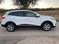 Renault Kadjar 1.5 blue dci Sport Edition 115cv edc Bianco - thumbnail 4