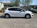 Opel Astra 1.4 100CV 5 porte Cosmo Bianco - thumbnail 4