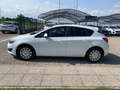 Opel Astra 1.4 100CV 5 porte Cosmo Bianco - thumbnail 8