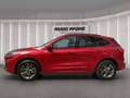 Ford Kuga 2.5 Duratec PHEV | AHK | WI-PKT | LED | HUD LED SH Rood - thumbnail 2