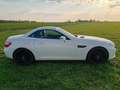 Mercedes-Benz SLK 250 7G,18",MB Pano+ Motor neu 65TKM mit RG!! Weiß - thumbnail 20