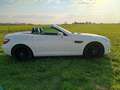 Mercedes-Benz SLK 250 7G,18",MB Pano+ Motor neu 65TKM mit RG!! Weiß - thumbnail 15