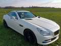 Mercedes-Benz SLK 250 7G,18",MB Pano+ Motor neu 65TKM mit RG!! Weiß - thumbnail 16