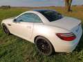 Mercedes-Benz SLK 250 7G,18",MB Pano+ Motor neu 65TKM mit RG!! Weiß - thumbnail 18